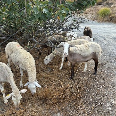 Cortijo La Vista Villa Orgiva Ngoại thất bức ảnh