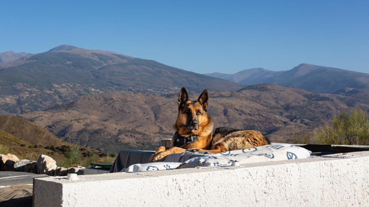 Cortijo La Vista Villa Orgiva Ngoại thất bức ảnh