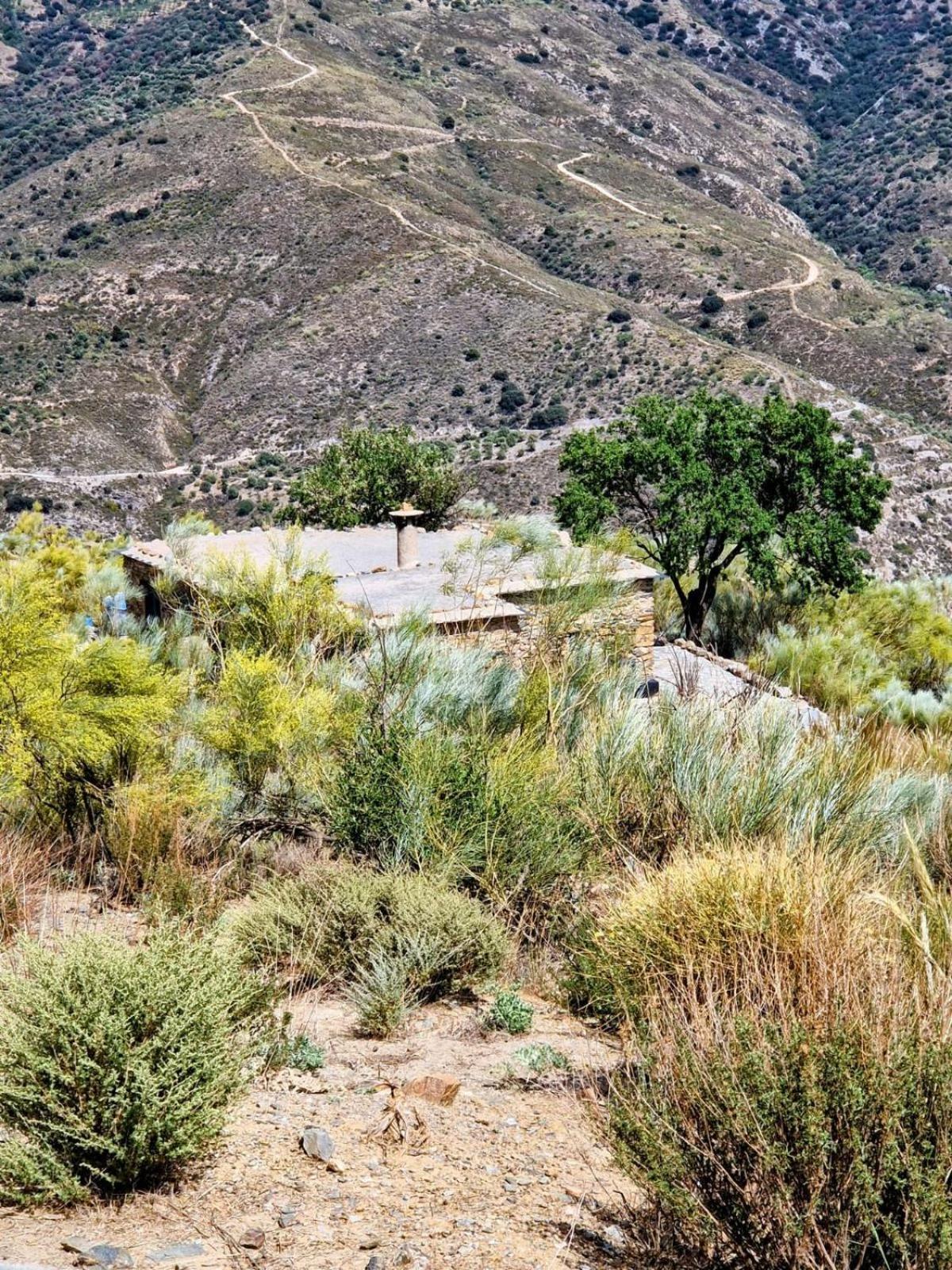 Cortijo La Vista Villa Orgiva Ngoại thất bức ảnh
