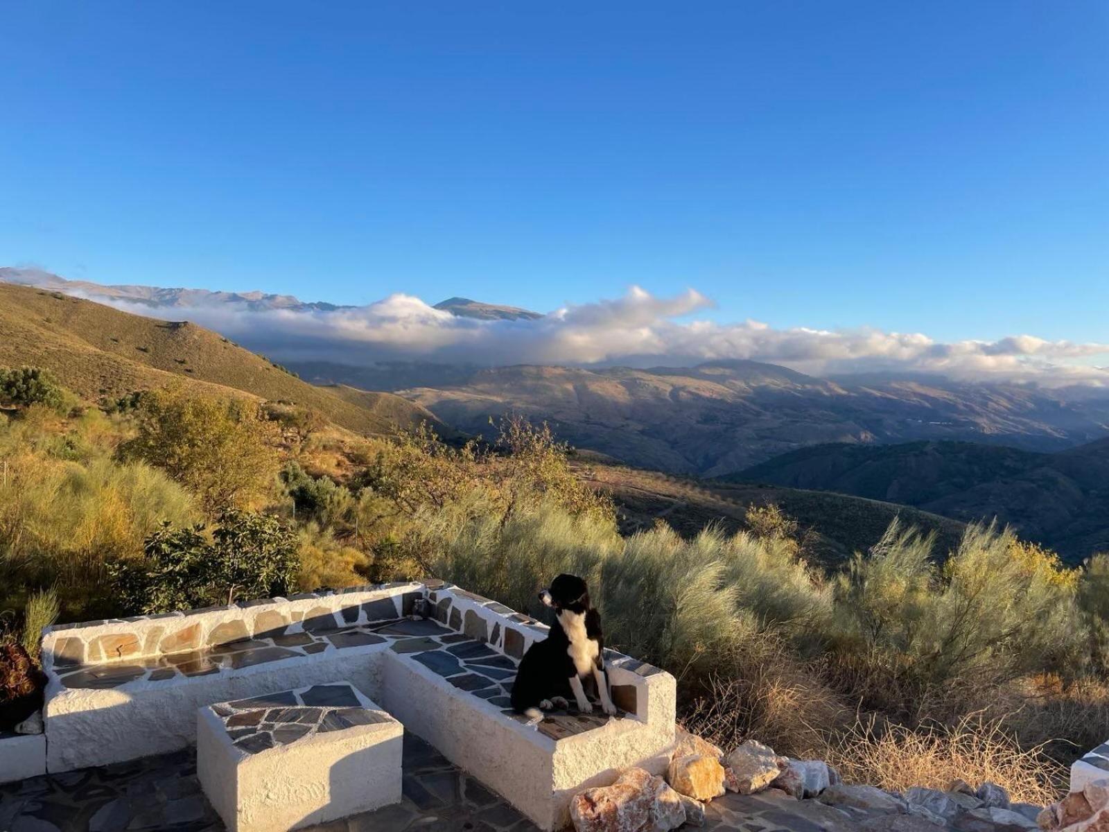 Cortijo La Vista Villa Orgiva Ngoại thất bức ảnh